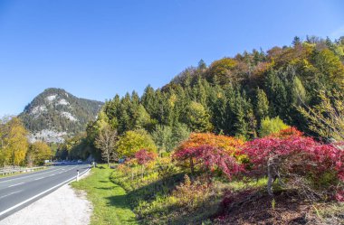 Avusturya'da doğal yol