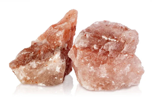Himalaya Tuzu