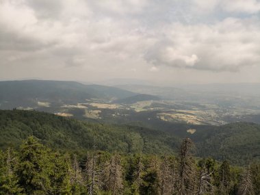 Polonya'da dağlarda yaz yürüyüş parkuru