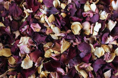 Sonbahar arkaplanı. Karışık kurumuş gül çiçekleri, bordo pembe ve sarı yapraklar..