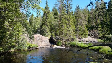 Ormandaki bir dağ nehri bir göl oluşturdu. Nehir kıyısı boyunca yoğun bir orman. Turizm kompleksi Karelia.