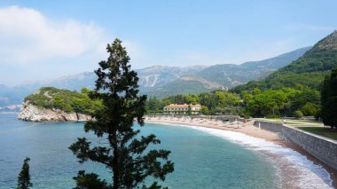 Boş plaj, güneşli şezlonglar, dağların arkasında duran plaj şemsiyeleri. Sakin deniz, güzel bulutlu gökyüzü. Önde yeşil bir ladin var. Gezginlerin ve turistlerin olmadığı bir sahil..