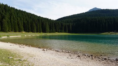 Yoğun bir ladin ormanıyla çevrili güzel bir dağ gölü. Yaz güneşli bir gün.