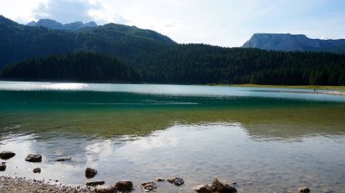 Yoğun ormanlarla çevrili güzel bir dağ gölü. Yaz güneşli bir gün.