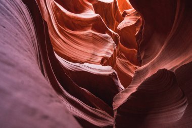 Ünlü antilop Kanyonu Arizona'da güzel parlak rock dalgaları görünümünü