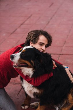 Bernese dağ köpeği sokakta oturan kucaklayan adam yan görünüm 