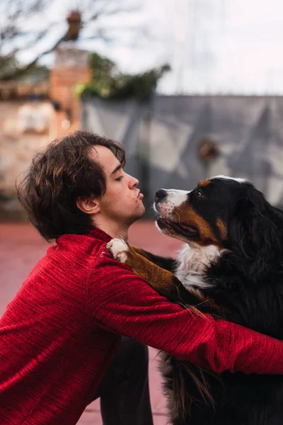 Bernese dağ köpeği sokakta oturan sarılma adam yan görünüm
