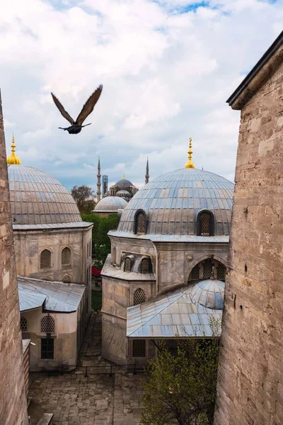 Птица летит над старой мечетью — стоковое фото
