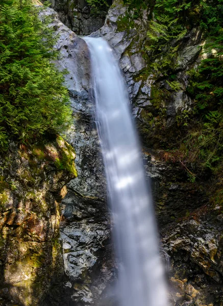 Belle Cascade Printemps Longue Exposition Texture Soyeuse Mouvement Flou Feuillage — Photo