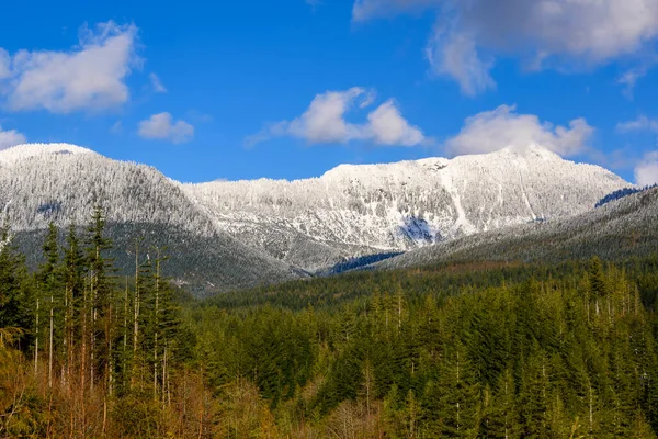 Güzel Kış Manzarası Kanada British Columbia Karlı Dağ Kar Eriyor — Stok fotoğraf