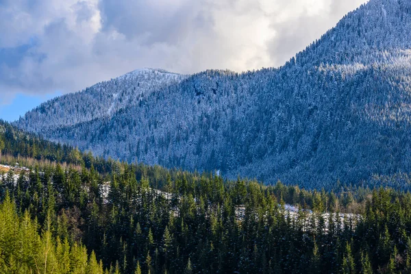 Güzel Kış Manzarası Kanada British Columbia Karlı Dağ Kar Eriyor — Stok fotoğraf