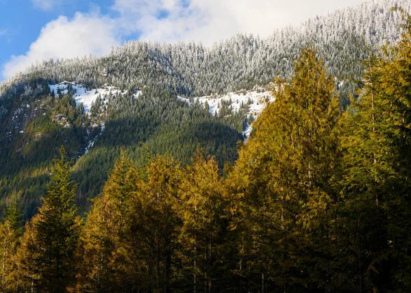 Güzel Kış Manzarası Kanada British Columbia Karlı Dağ Kar Eriyor — Stok fotoğraf