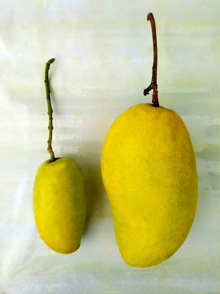白い床の上に2つの熟したマンゴーの異なるサイズ — ストック写真