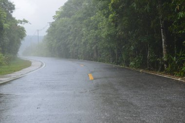 Yağmur gününde orman ve dağlı Ulusal Park yolu, Khao Yai Ulusal Parkı, Tayland
