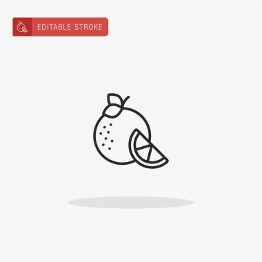 Turuncu ikon vektörü. Sunum için turuncu simge.