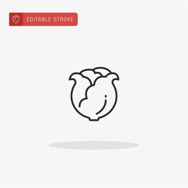 Marul ikonu vektörü. Sunum için marul simgesi.