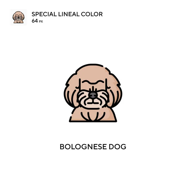 Bolognese Hond Speciale Lijnkleur Vector Icoon Bolognese Hond Pictogrammen Voor — Stockvector