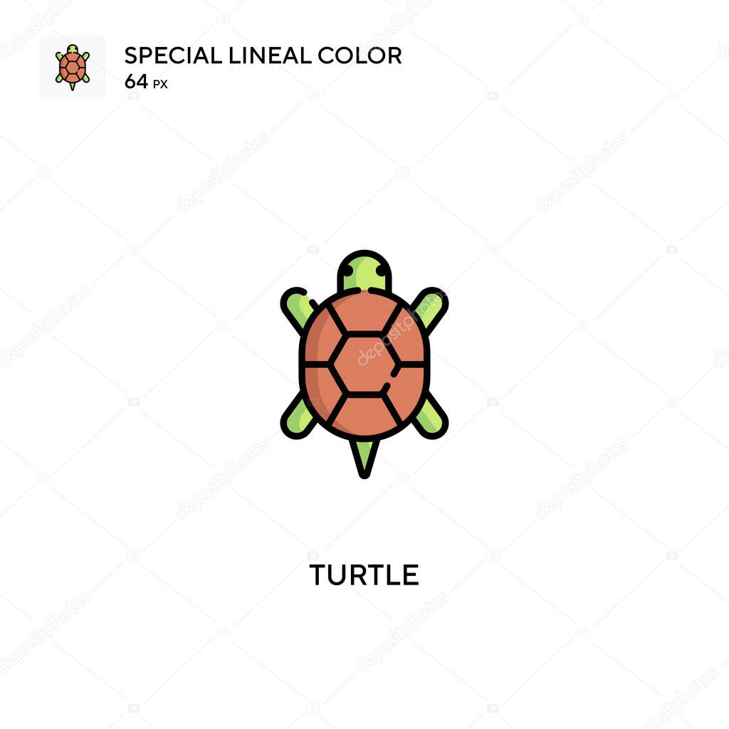Turtle Special lineal color icon.Turtle icons for your business project