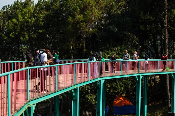 BOGOR, İNDONEZYA 09 Eylül 2020