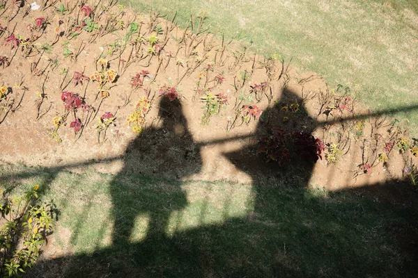 male and female shadows