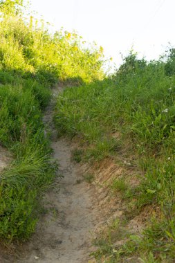 Yeşil çimen arkaplanına karşı yol