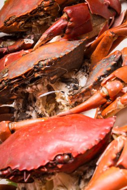 Tayland usulü kabuklu kırmızı yengeç.
