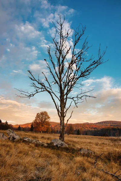 Farbenfroher Herbst im wunderschönen tschechischen Nationalpark Böhmerwald - Europa — Stockfoto