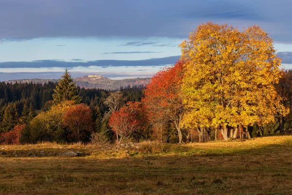 Farbenfroher Herbst im wunderschönen tschechischen Nationalpark Böhmerwald - Europa — Stockfoto