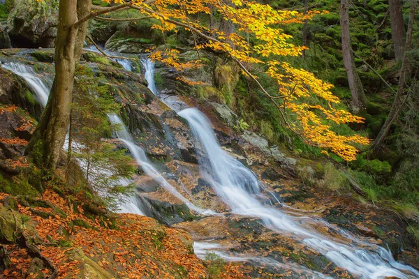 Cascade on the River — Stock Photo, Image