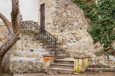 Yabani üzüm taştan bir duvar kaplama. Ivy yeşil yaprakları.