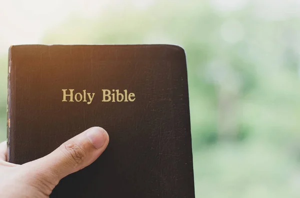 Vista Cerca Hombre Sosteniendo Una Biblia Sus Manos Con Luz — Foto de Stock