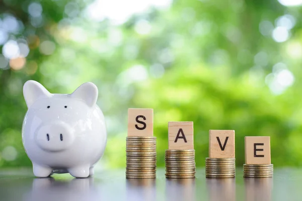 Altın sikkeler büyüyen para ve ahşap harf blokları Domuzcuk Bankasıyla masaya kelime yazıyorlar. Finans muhasebesi için finansal büyüme kavramı kaydediliyor