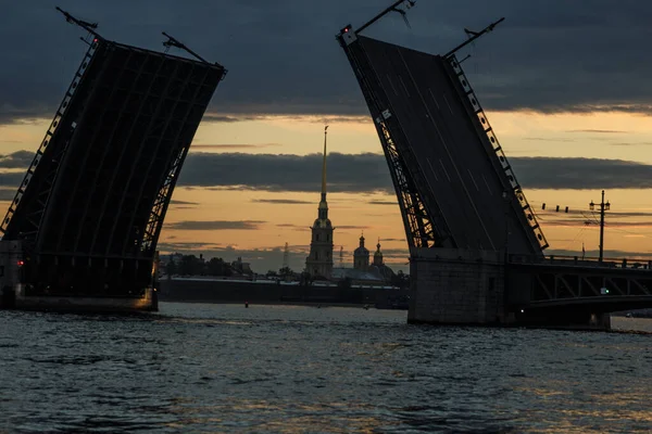 Peter Paul Fortress Opened Bridge White Nights — Stock Photo, Image