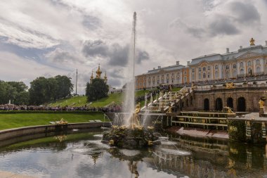 Saint-Petersburg 'da. - Rusya. 30 Temmuz 2017. Petergof Sarayı ve büyük çağlayanın ünlü çeşmeleri. Peterhof 'daki büyük çeşme Samson.