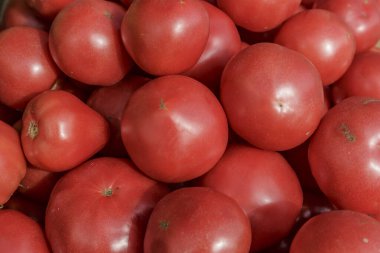 Vejetaryen yemeği. Taze domates, izole edilmiş arkaplan