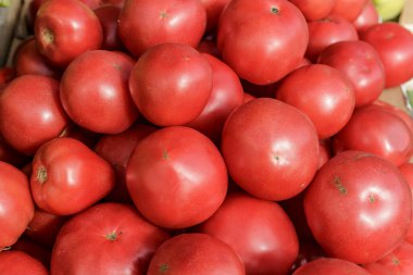 Vejetaryen yemeği. Taze domates, izole edilmiş arkaplan