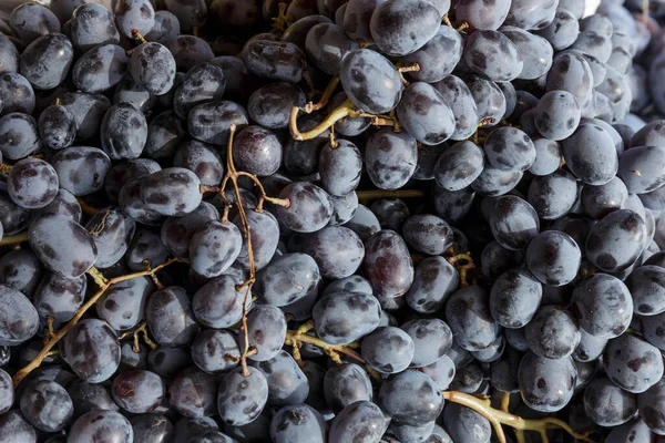 Vegan Food Fresh Grapes Isolated Background — Stock Photo, Image