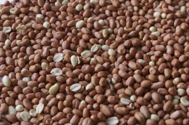 Vejetaryen yemeği. Yakın çekim için çiğ fıstık.