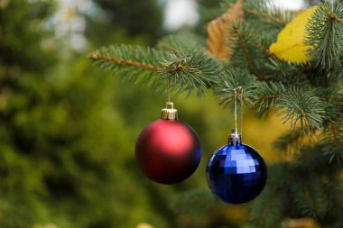 Noel ağacında kırmızı ve mavi kristal toplar. 2021.