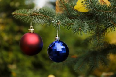 Noel ağacında kırmızı ve mavi kristal toplar. 2021.