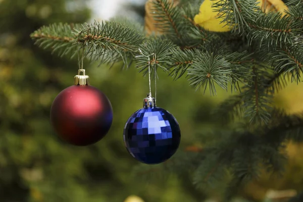 Noel Ağacında Kırmızı Mavi Kristal Toplar 2021 — Stok fotoğraf