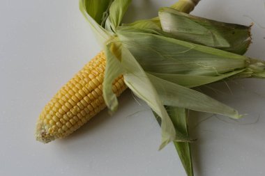 Vejetaryen yemeği. Olgun Mısır Koçanı, Beyaz Arkaplanda izole