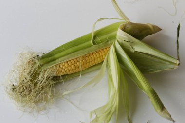 Vejetaryen yemeği. Olgun Mısır Koçanı, Beyaz Arkaplanda izole