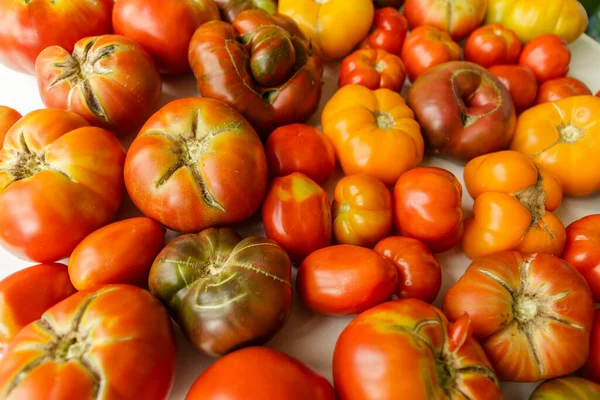 Verschiedene Frische Bio Tomaten — Stockfoto