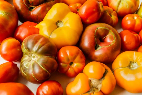 Verschiedene Frische Bio Tomaten — Stockfoto
