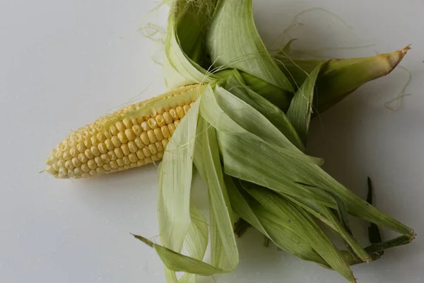 Vegan Food Ripe Corn Cob Isolated White Background — Stock Photo, Image