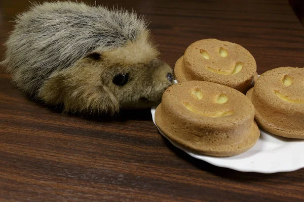 ぬいぐるみハリネズミとクッキー ペットぬいぐるみ — ストック写真