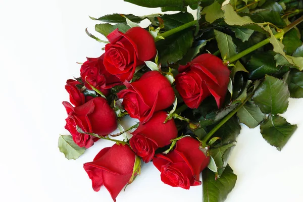 Güzel Kırmızı Gül Çiçeği Beyaz Arkaplanda Izole Edilmiş Telifsiz Stok Fotoğraflar