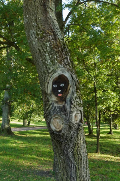 The face drawn on the tree. Female face emoticons. Mask On Tree Trunk In Forest. Public park.