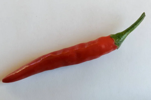 Chiles Rojos Sobre Fondo Blanco — Foto de Stock